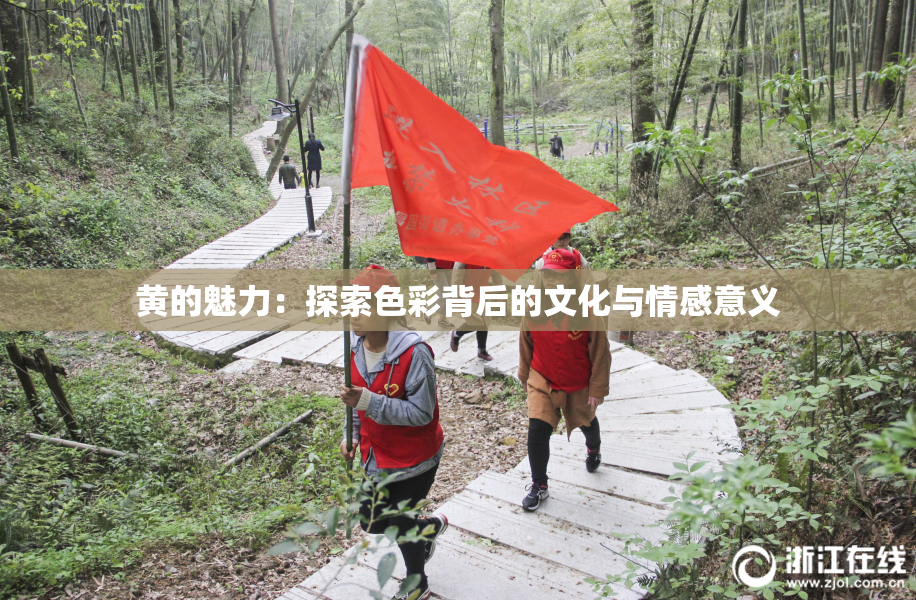 黄的魅力：探索色彩背后的文化与情感意义