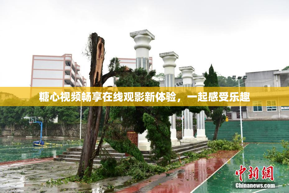 糖心视频畅享在线观影新体验，一起感受乐趣