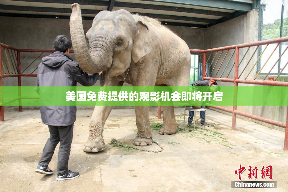 美国免费提供的观影机会即将开启
