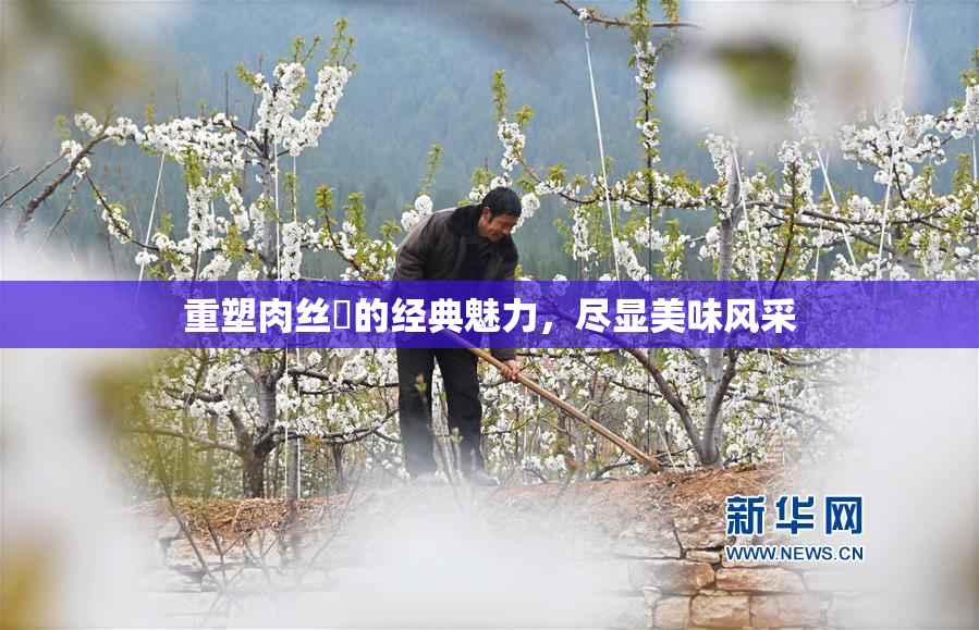 重塑肉丝祙的经典魅力，尽显美味风采