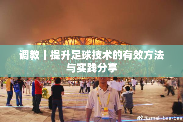 调教丨提升足球技术的有效方法与实践分享