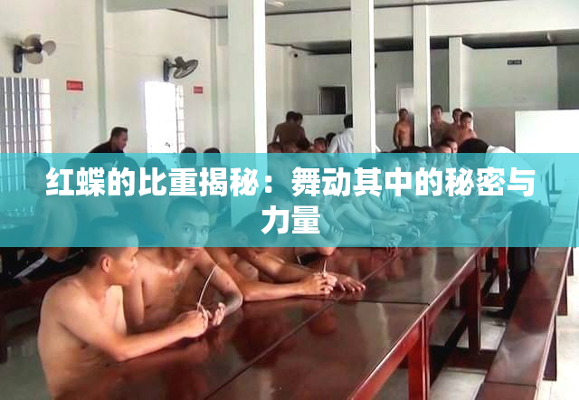 红蝶的比重揭秘：舞动其中的秘密与力量