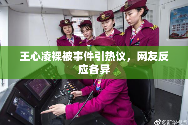 王心凌裸被事件引热议，网友反应各异