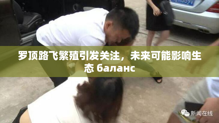 罗顶路飞繁殖引发关注，未来可能影响生态 баланс