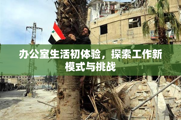 办公室生活初体验，探索工作新模式与挑战