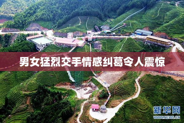 男女猛烈交手情感纠葛令人震惊