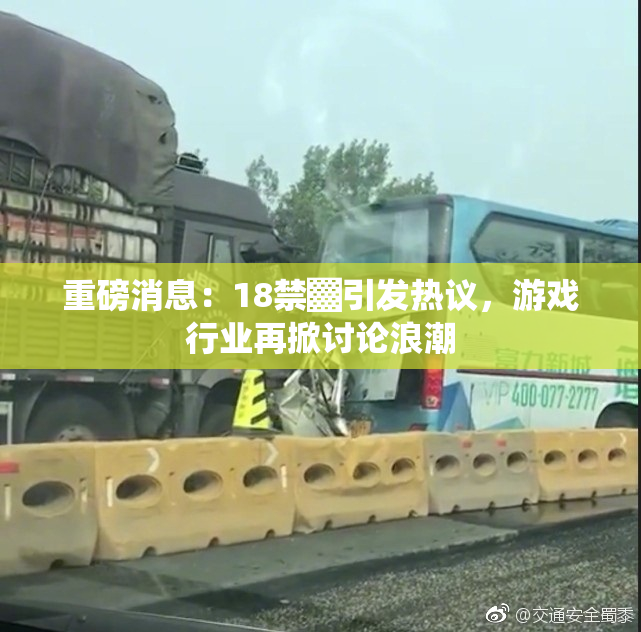 重磅消息：18禁▓引发热议，游戏行业再掀讨论浪潮