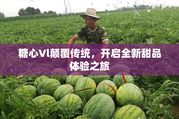 糖心Vl颠覆传统，开启全新甜品体验之旅