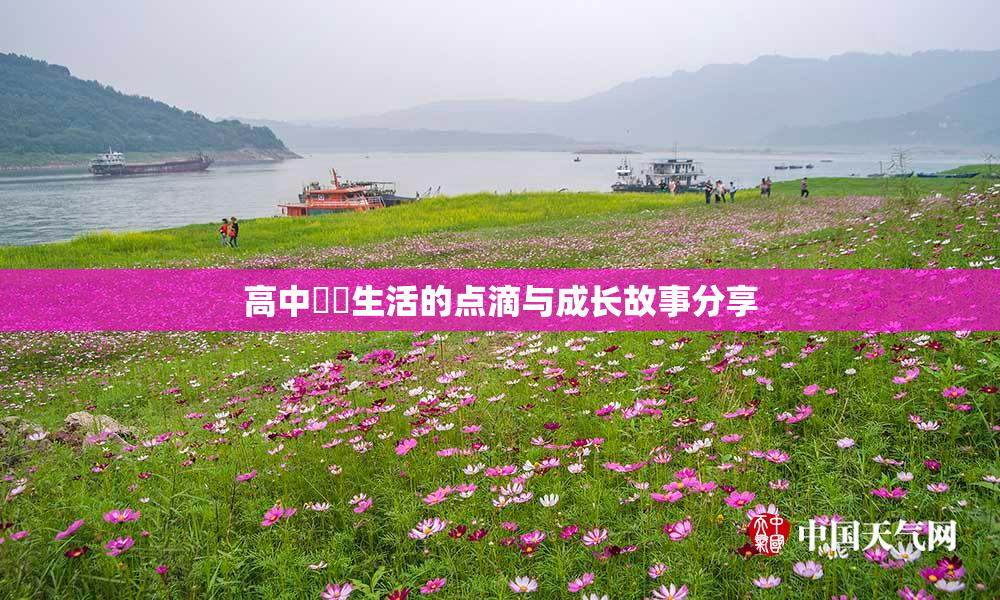 高中妺妺生活的点滴与成长故事分享