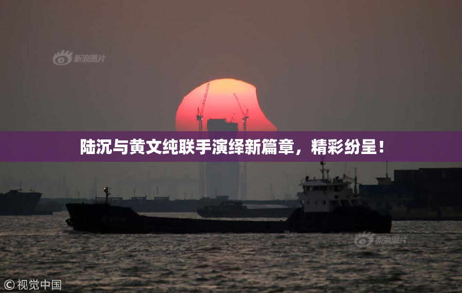 陆沉与黄文纯联手演绎新篇章，精彩纷呈！