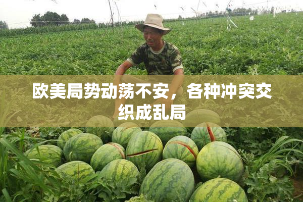 欧美局势动荡不安，各种冲突交织成乱局
