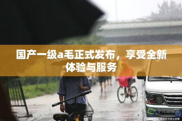 国产一级a毛正式发布，享受全新体验与服务
