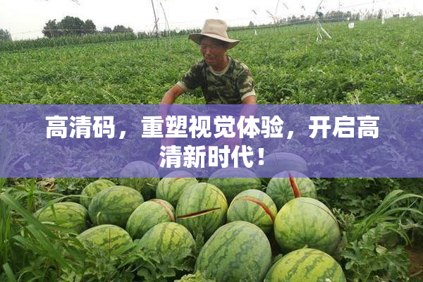 高清码，重塑视觉体验，开启高清新时代！