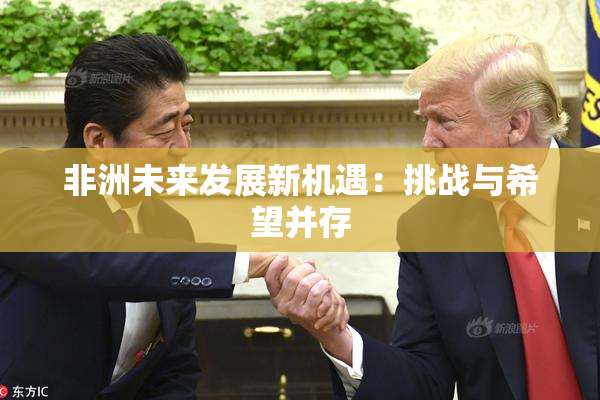 非洲未来发展新机遇：挑战与希望并存