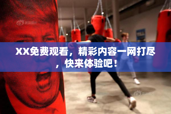 XX免费观看，精彩内容一网打尽，快来体验吧！