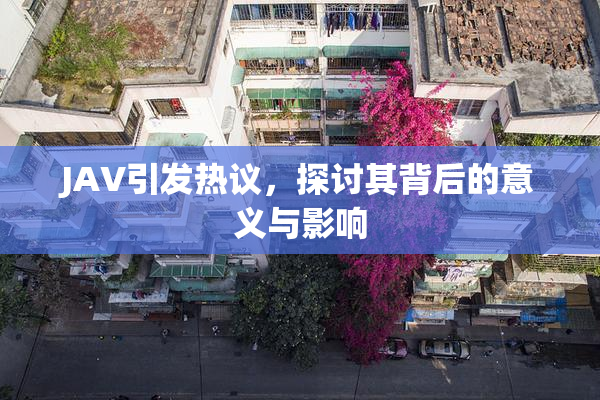 JAV引发热议，探讨其背后的意义与影响