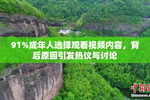 91%成年人选择观看视频内容，背后原因引发热议与讨论