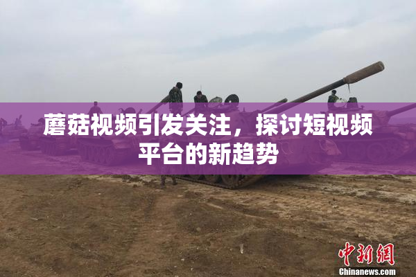 蘑菇视频引发关注，探讨短视频平台的新趋势