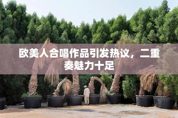 欧美人合唱作品引发热议，二重奏魅力十足