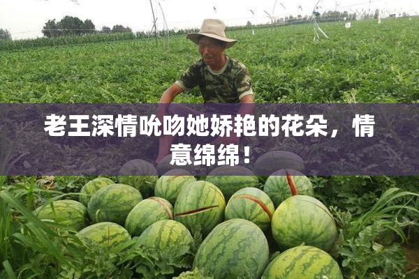 老王深情吮吻她娇艳的花朵，情意绵绵！