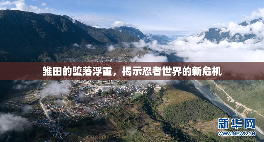 雏田的堕落浮重，揭示忍者世界的新危机