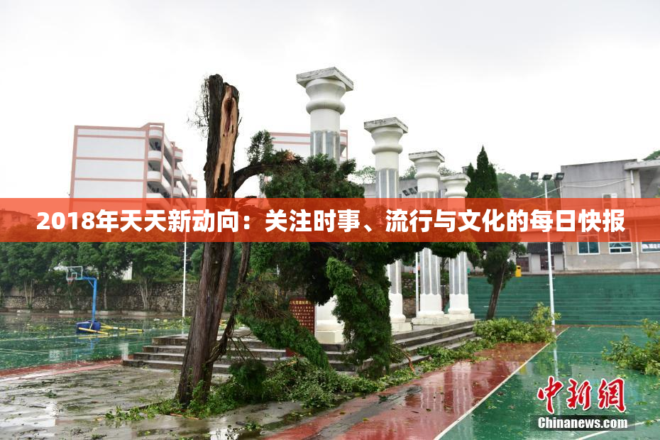 2018年天天新动向：关注时事、流行与文化的每日快报