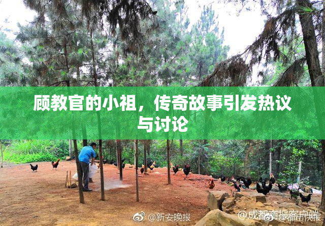 顾教官的小祖，传奇故事引发热议与讨论