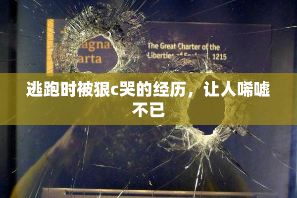 逃跑时被狠c哭的经历，让人唏嘘不已