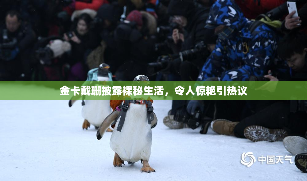 金卡戴珊披露裸秘生活，令人惊艳引热议