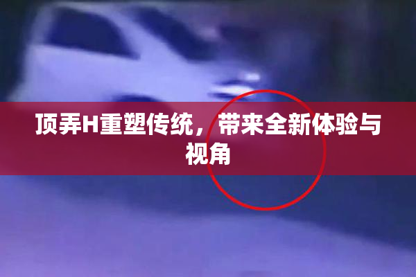 顶弄H重塑传统，带来全新体验与视角