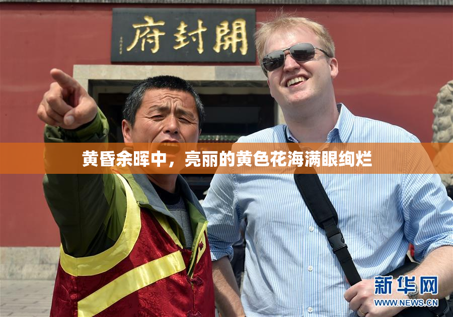 黄昏余晖中，亮丽的黄色花海满眼绚烂