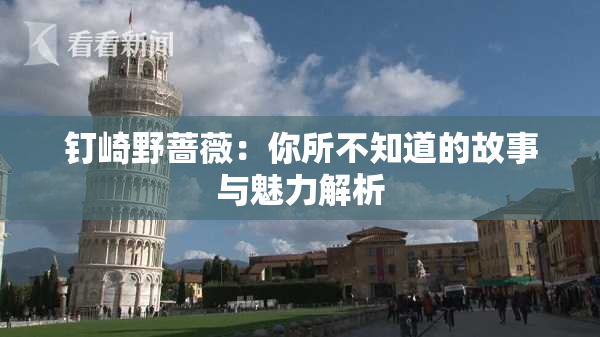 钉崎野蔷薇：你所不知道的故事与魅力解析