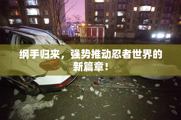 纲手归来，强势推动忍者世界的新篇章！