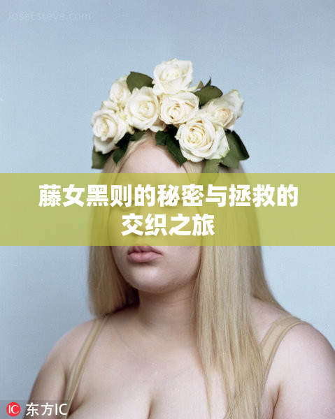 藤女黑则的秘密与拯救的交织之旅