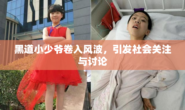 黑道小少爷卷入风波，引发社会关注与讨论