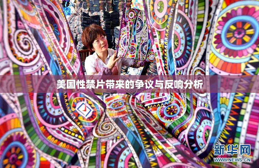 美国性禁片带来的争议与反响分析