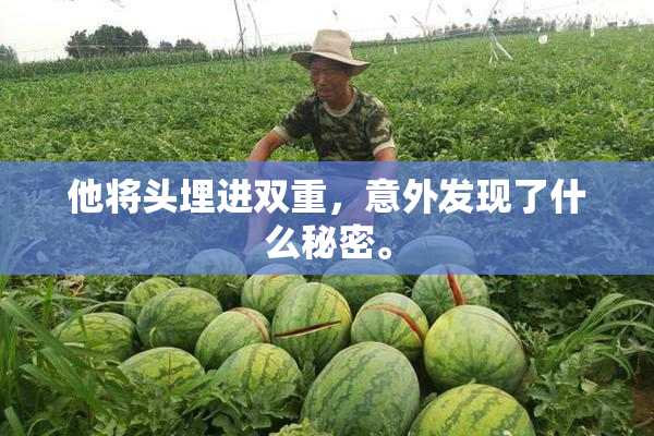 他将头埋进双重，意外发现了什么秘密。