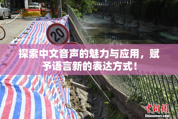 探索中文音声的魅力与应用，赋予语言新的表达方式！