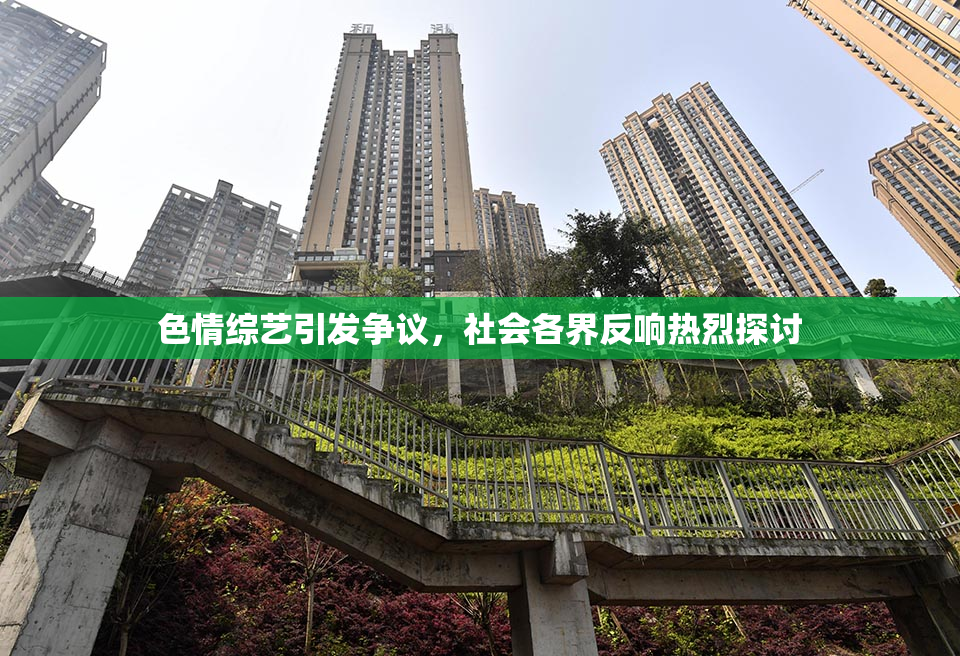色情综艺引发争议，社会各界反响热烈探讨