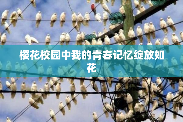 樱花校园中我的青春记忆绽放如花