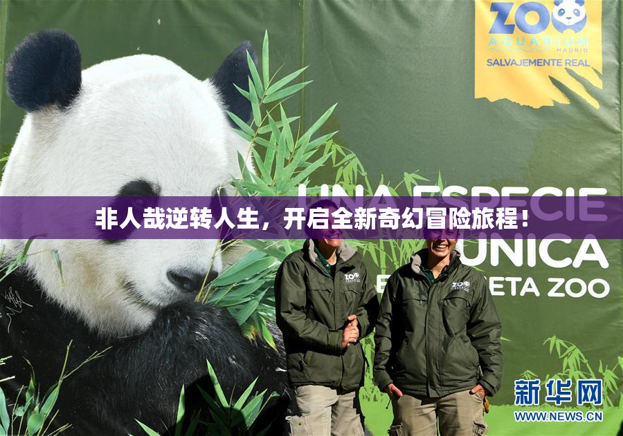 非人哉逆转人生，开启全新奇幻冒险旅程！