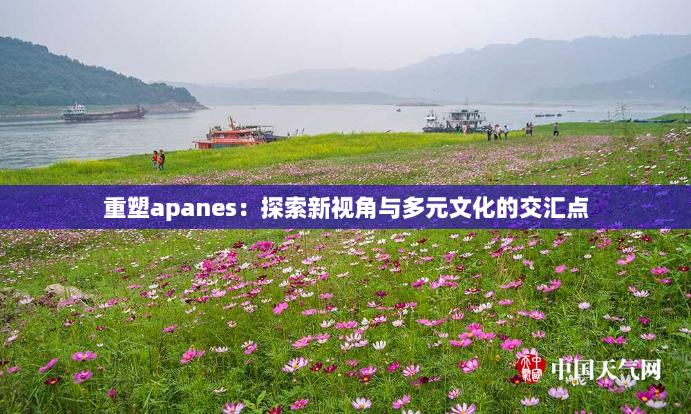 重塑apanes：探索新视角与多元文化的交汇点