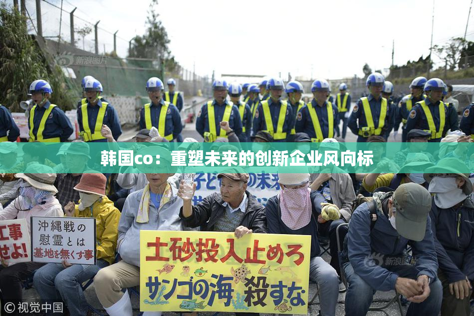 韩国co：重塑未来的创新企业风向标