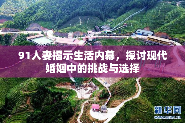 91人妻揭示生活内幕，探讨现代婚姻中的挑战与选择