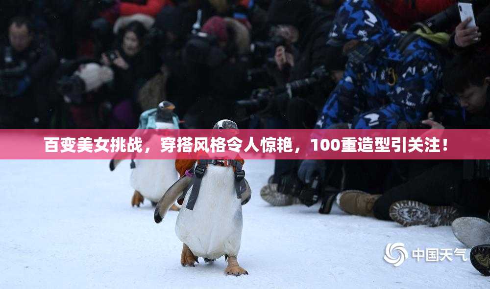 百变美女挑战，穿搭风格令人惊艳，100重造型引关注！