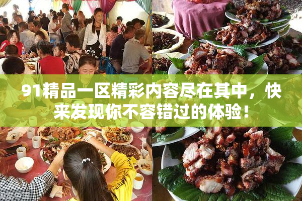 91精品一区精彩内容尽在其中，快来发现你不容错过的体验！