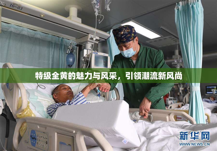 特级全黄的魅力与风采，引领潮流新风尚
