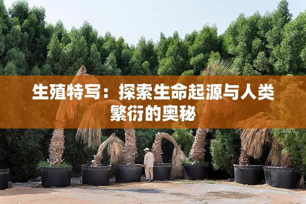 生殖特写：探索生命起源与人类繁衍的奥秘