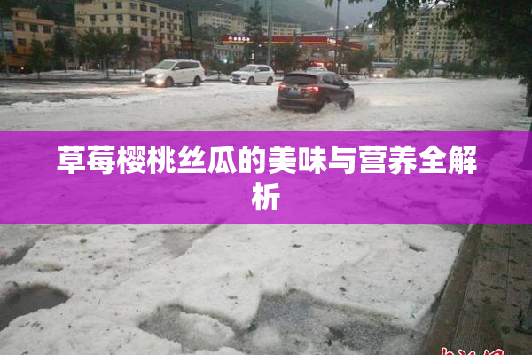 草莓樱桃丝瓜的美味与营养全解析