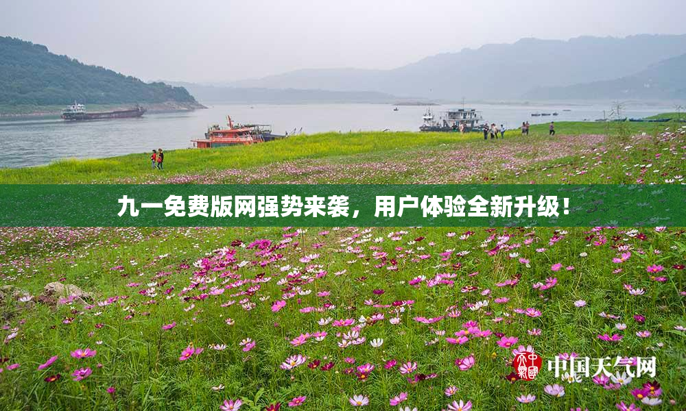 九一免费版网强势来袭，用户体验全新升级！